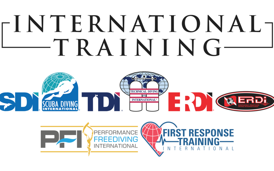 International training, TDI, SDI
